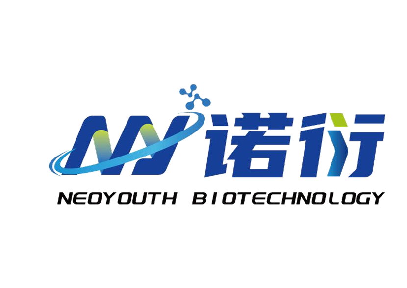 图片13.png